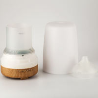 Portable nouveau gros 100ml Air aromathérapie parfum Machine huile essentielle humidificateur diffuseur d'arôme