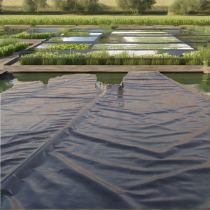 بطانة تجارية من الأغشية الأرضية لتربية الأحياء المائية والسدود وغشاء جيولوجي من البولي إيثيلين - Product Image 4