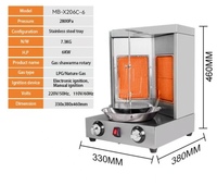 Machine à Shawarma Mini Professionnelle : Barbecue Électrique, Rôtissoire à Kebab et Doner – Offre Promotionnelle Direct Usine