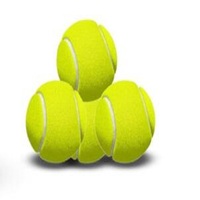 Balle interactive pour chien avec fonction tennis, outil d'entraînement en extérieur