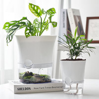 Pots de jardin Deepbang, pots blancs pour plantes violettes, pots de pépinière, pots de jardin à domicile, jardinières auto-arrosantes pour plantes d'intérieur
