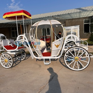 Customizable <b>White</b> Wedding Bridal Carriage Pumpkin Style Cinderella Princess Carriage Special Transportation for Weddings - Product Image 5
