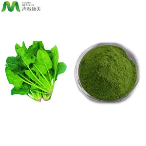 Source Factory Supply Good Price China Spinach Powder
