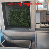 304 roestvrijstalen bubbel fruit- en groentewasmachine, industriële transportbandmachine voor het reinigen van groenten en fruit