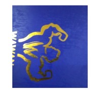 Folleto con certificado de membresía, logotipo invisible e impresión de números