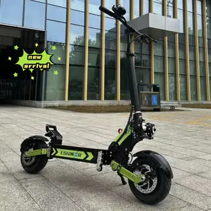 Dusl motor e scooter High speed 25AH 30Ah 35Ah 40Ah 60v 11inch road tries scooter electric adult 6000w with seat