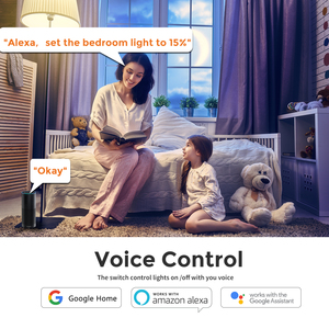 Việt Nam bán buôn nhà sản xuất 2 Gang cảm ứng thiết bị chuyển mạch app điều khiển từ xa tuya cuộc sống thông minh cảm ứng Wifi Dimmer không dây 220V 10A - Product Image 4