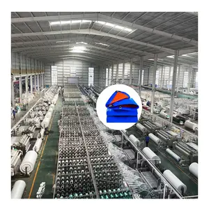 Container Plastic Greenhouse Tarpaulin Factory Direct 1X2M Mesh Pvc Tarpaulin For Hsd