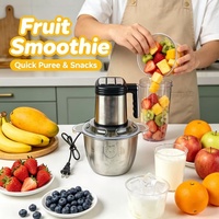 Hachoir Électrique Puissant pour Légumes, Mini Mixeur de Cuisine pour Viande et Fruits