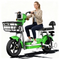 Scooter Eléctrico Ligero de Dos Plazas en Oferta, Batería de Litio de 48V, Bicicleta Eléctrica para Viajes Urbanos Cortos