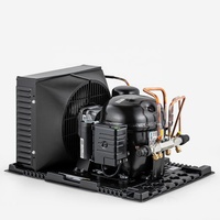 Unité de condensation intérieure HBP 50Hz pour les Émirats arabes unis, 220-240V, 1/3 CV, capacité de refroidissement, compresseur TIBO, réfrigérant R-134a/R-513A, haute performance