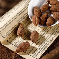 Natuurlijke Darmondersteuning 100% Zuivere Amomum Tsao-ko (Cao Guo) Gedroogd Kruidenextract Export Kwaliteit Bulk Supplement Poeder