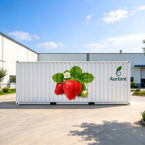 Skyplant, grande ferme hydroponique intelligente pour la culture de fraises, système d'agriculture verticale d'intérieur avec contrôle climatique automatisé - Product Image 1