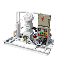 Compresor de Gas Natural Miniatura Móvil BT4, Suministro Directo de Fábrica, Circulación Química, Anticorrosión, Cero Fugas, GNC