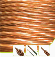 Cable de Tierra de Cobre Desnudo de 25 mm para Subestaciones, Granjas Solares y Sistemas de Protección contra Rayos
