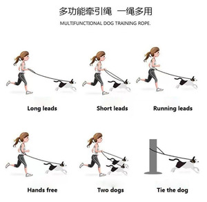 Custom Printed PVC Nylon Webbing Dog <b>Leash</b> Solid Ribbon Design Heat Transfer Waterproof Rubber Coated Durable <b>Pet</b> Training <b>Leash</b> - Product Image 3