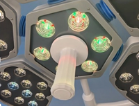 Lampe chirurgicale sans ombre à double tête, équipement d'éclairage chirurgical pour examens cliniques et vétérinaires