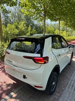 Véhicule électrique à faible vitesse personnalisé, nouvelle énergie, 4 roues, longue autonomie, pour adultes