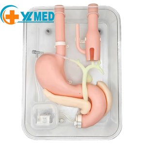Modelo de Treinamento para Cirurgia de Gastroscopia, Prática de Operação ERCP com Duodenoscópio na Posição Prona para Ensino com Certificação ISO - Product Image 1