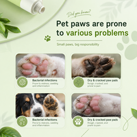 Additif liquide pour l'eau, formule dentaire pour animaux de compagnie OEM/ODM, rafraîchit l'haleine des chats et des chiens, 40g, durée de conservation de 2 ans