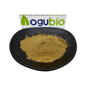 Extrait de feuille d'olivier hydroxytyrosol de haute qualité, poudre pure d'hydroxytyrosol - Product Image 1