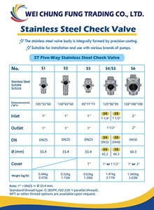 Stainless Steel Spring Check Valve BSP Threaded 2" Backflow Preventer System - Product Image 6