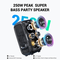 W-King T9PRO Haut-parleurs 120W Système de karaoké portable Haut-parleur DJ avec caisson de basses Haut-parleur de cinéma maison Boîte de haut-parleurs Bass Speaker