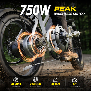Vélo à pneus larges 20"x4.0, cadre en acier au carbone 750W, accélérateur à poignée 48V13Ah, stock en gros entrepôt USA, expédition 3-7 jours M20-2 20 pouces - Product Image 5