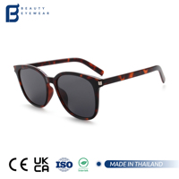 Nouvelles Lunettes de Soleil Rétro Vintage Ovales et Rondes 2026 Unisexe Monture TR90 Verres Polarisés Logo Personnalisé Mode Luxe Tendance