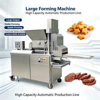Macchina Automatica Industriale VICMAI per Formare Hamburger con Capacità 100-2000kg/h, Tensione 220V/380V, Garanzia di 1 Anno