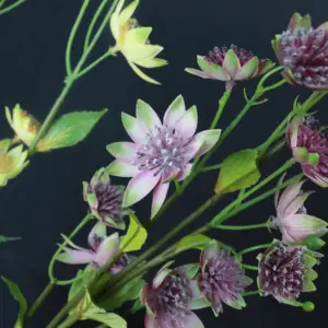 M346 Bloem Boeket Kunstzijde Astrantia Bloem Paars Geel Kunstmatige Daisy Bloem Voor Diy Bloemstuk Home Decor