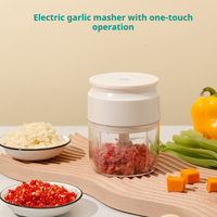 Mini Elektrische Groentesnijder Chopper Knoflook Stamper Crusher Usb Oplaadbare Gember Vlees Molen Keukenmachine Keuken Gadget