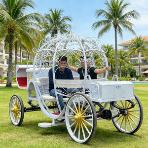 Asientos para Vehículo Eléctrico 2025, Regalo, Personalizados, para 2 Personas, Estilo Carruaje Real Europeo - Product Image 1