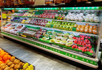 Congélateur Commercial Multidecks Ouvert pour Supermarché, Réfrigérateur à Rideau d'Air pour Légumes et Fruits