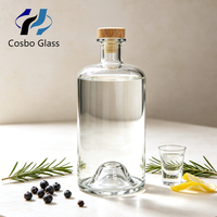 Botol Minuman Keras Kosong dengan Logo Kustom Langsung dari Pabrik, Botol Vodka Gin 200ml 500ml 700ml 750ml, Botol Kaca dengan Penutup untuk Wiski