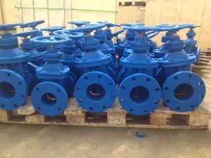 Gate Valve Ductile Iron Flanged PN16 DN50 Gate ValveHot Sale Cast Iron Rubber Seat Manual Gate Valve For Drinking Water