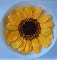 Lovebay Noël Fête des Mères Marguerite préservée Tournesol Chrysanthème éternel Tournesols éternels pour la décoration de la maison