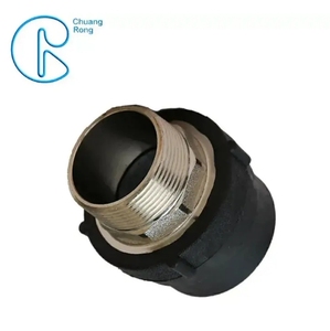 HDPE ổ cắm <span class=keywords><strong>Fusion</strong></span> phụ kiện nam ren <span class=keywords><strong>Adapter</strong></span> nam <span class=keywords><strong>Adapter</strong></span> HDPE - Product Image 2