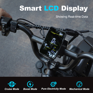 Bicicleta Eléctrica con Llantas Gruesas a Precio Económico, 250W, Frenos de Disco Hidráulicos, Batería de Litio, Motor Trasero, Pantalla LCD Inteligente para Adultos A13, Doble Suspensión - Product Image 4