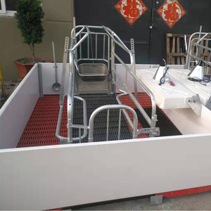 Box de maternité galvanisé pour truies d'élevage avec plancher en fonte - Product Image 4