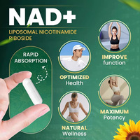 Liposomal NAD+ Ultimate 900mg Formula Lanjutan 80 Kapsul Vegetarian Antioksidan Pendukung Imunitas Quercetin Resveratrol 2 Kali Sehari