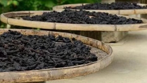 Huang <span class=keywords><strong>Jing</strong></span> Seco de Alta Calidad, Vaporizado Nueve Veces y Secado Nueve Veces, Rhizoma Sibiricum Polygonati - Product Image 6
