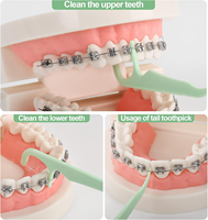 Bracer utilise des choix de fil dentaire orthodontique conception spéciale poils nettoyage en profondeur choix de fil dentaire