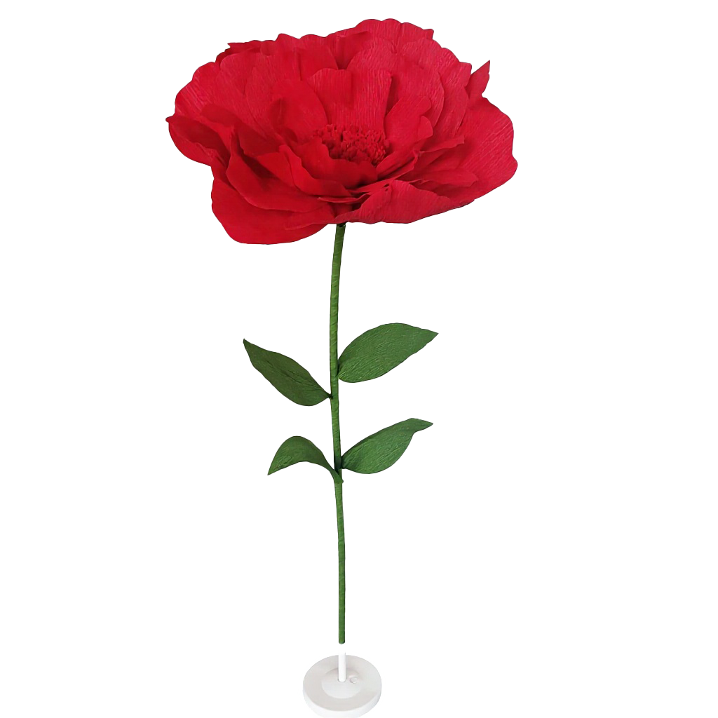 Rojo sin soporte