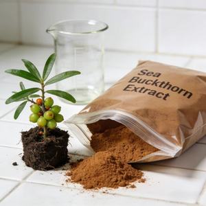 Extrato de Espinheiro Marítimo <span class=keywords><strong>100</strong></span>% Solúvel em Água, Pó de Grau Alimentício, Suplemento Dietético Natural à Base de Ervas para a Saúde Humana em Embalagem de Tambor - Product Image 2