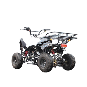 Minimoto Infantil para Jugar al Aire Libre, Minicuadriciclo de 49cc, Estructura de Plástico de Primera Calidad y Arranque Manual - Product Image 4