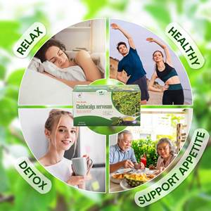 NMPT Brand Premium Pure Herbal <b>Tea</b> 100% Cleistocalyx Nervosum 2G Packaged <b>Box</b> Phu Tho Vietnam Supports Gout Prevention Treatment - Product Image 5