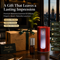 Diffuseur d'aromathérapie HIITII, usage commercial et de bureau, décoratif de luxe, moderne, huile essentielle pure, nébulisation sans eau, voiture, hôtel