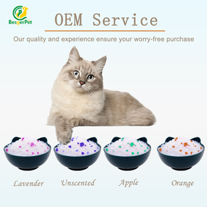 Lettiera per Gatti in Cristallo Ecologica per una Gestione Igienica e Senza Odori dei Rifiuti Felini - Product Image 2