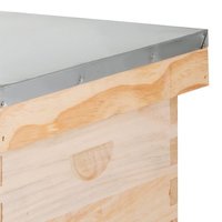 Großhandel 3-lagiger Langs troth Holz bienenstock Zarter polierter Bienenstock mit 2 tiefen und 1 mittleren Box